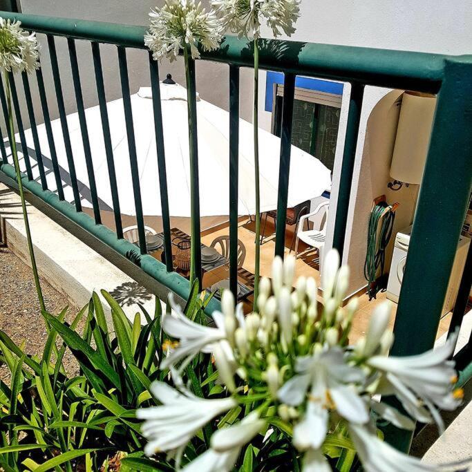 Apartamento Encantador A 100M Da Praia Carvoeiro  Eksteriør bilde
