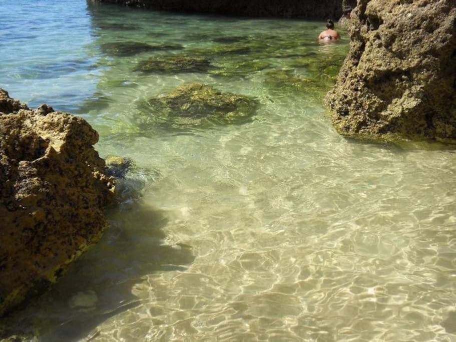 Apartamento Encantador A 100M Da Praia Carvoeiro  Eksteriør bilde